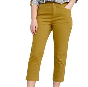 Seasalt Cornwall Yellow Catkin Albert Quay Crops 10